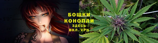 шишки Нягань