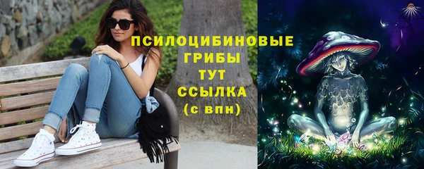 первитин Богданович