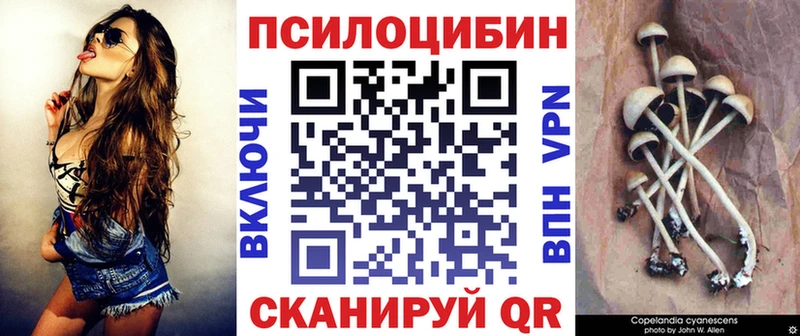 Галлюциногенные грибы Cubensis нарко площадка какой сайт Южно-Сухокумск продажа наркотиков